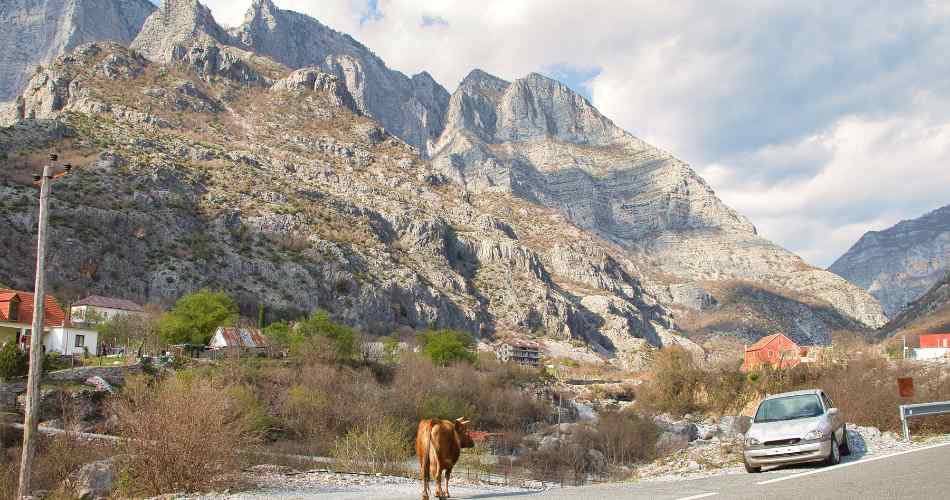 renting a car in Shkoder