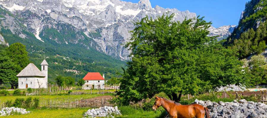 How to take the bus from Shkoder to Theth