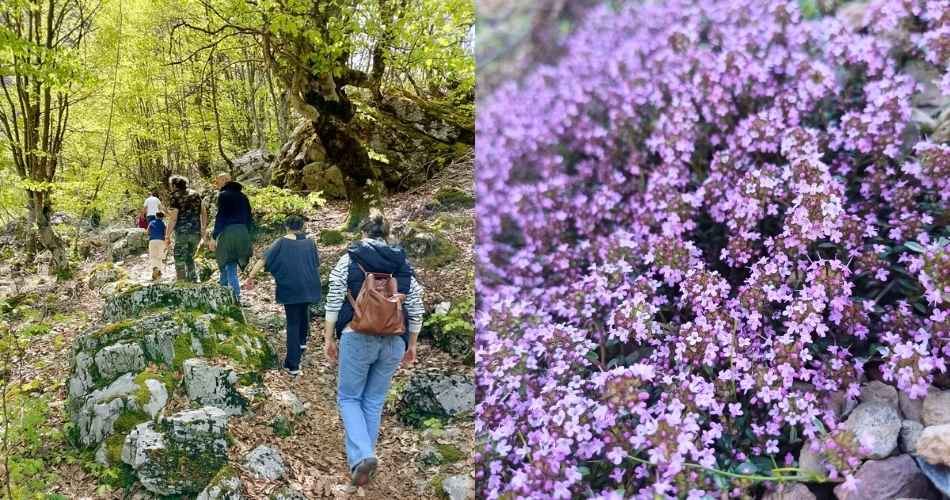 Albanian nature excursion during Albania Agrotourism