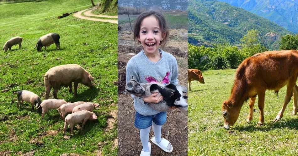 Learn the traditions of north Albania at an Agrotourism experience