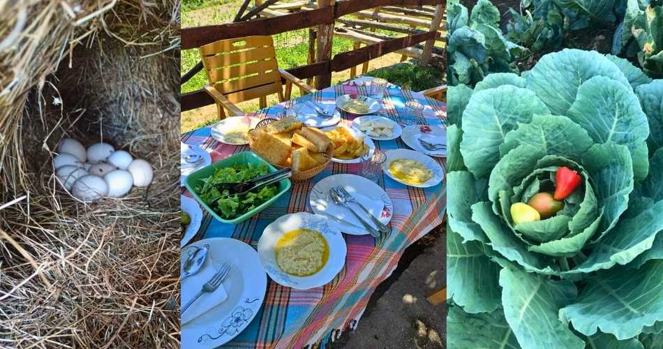 Organic fruits and vegetables at Albania Agrotourism